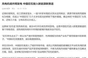 时报：风电机组并网发电 中国888集团驶入新能源新赛道